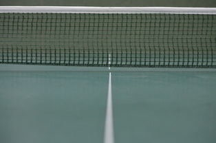 开云体育在线-比利时乒乓球队强势逆袭韩国乒乓球队，王皓制霸全场