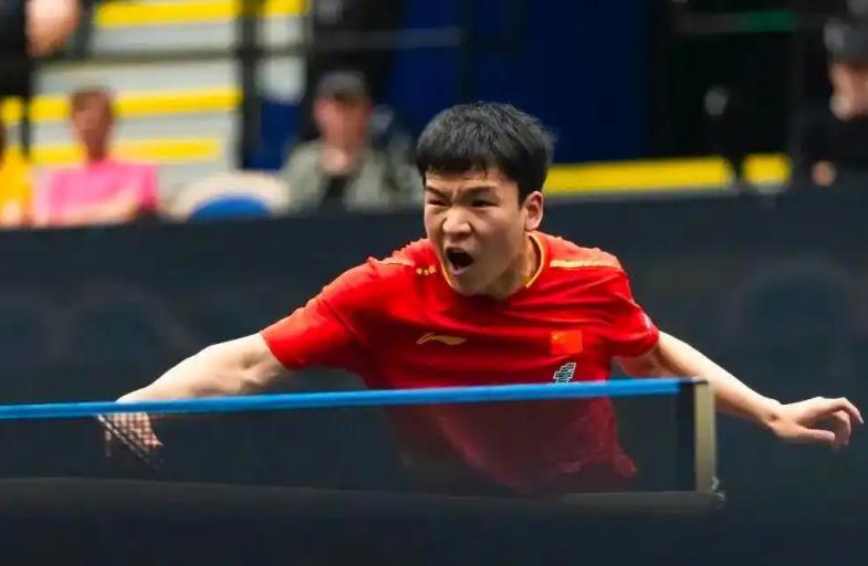 开云APP-瑞典乒乓球队强势德国乒乓球队，王皓送出助攻的简单介绍