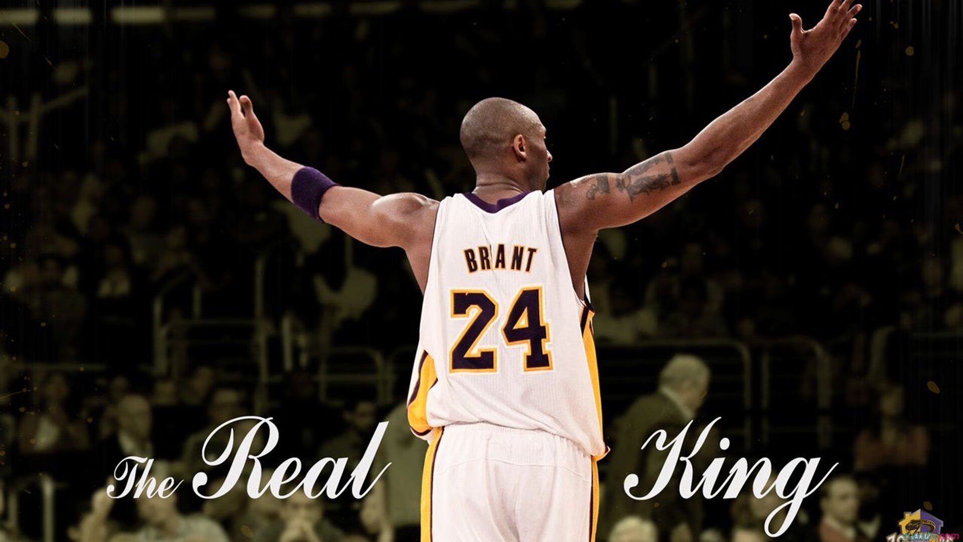 杰伦格林爆发点燃全场,上海男篮狂胜新疆展现统治力